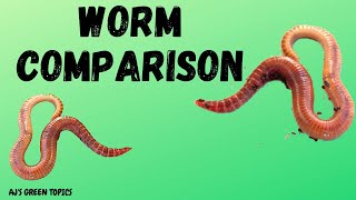 Composting Worms Comparison - Red Wigglers And European