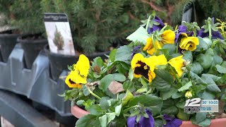 Protecting your plants in extreme cold temperatures