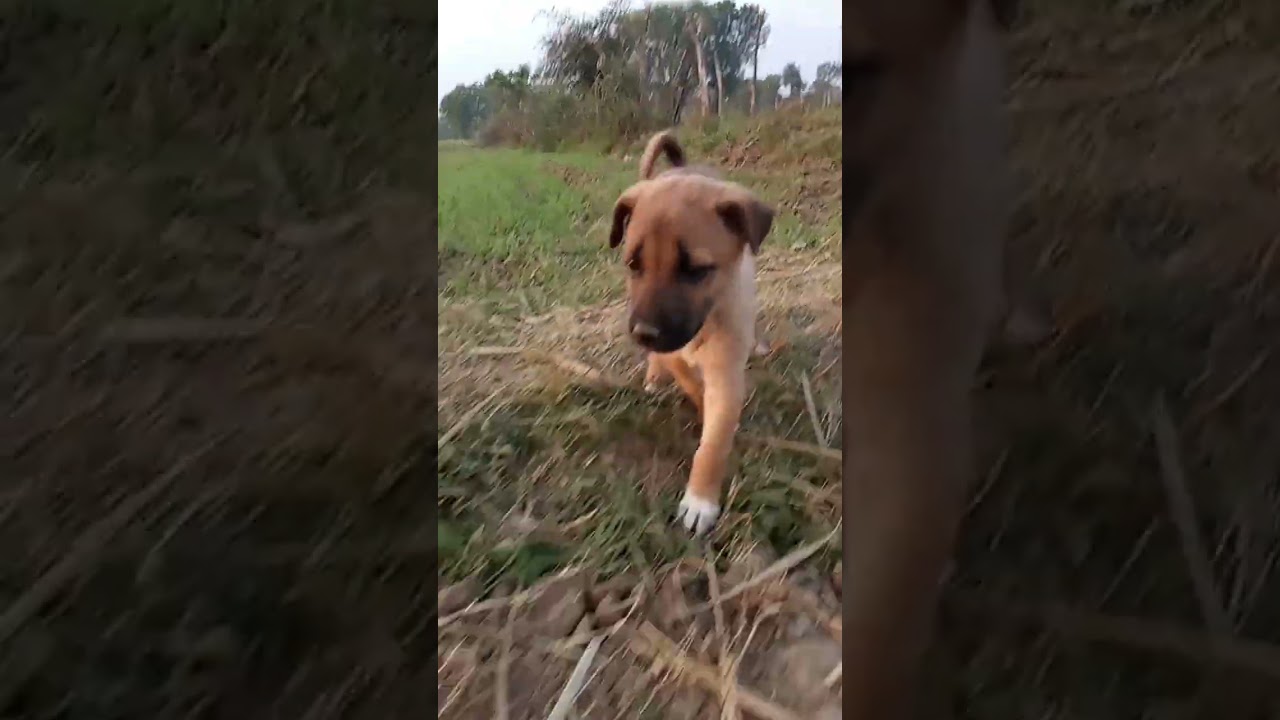 First time watching movie reaction 