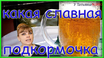 Славный ДЕДУШКИН способ подкормки ПИВОМ рассады и комнатных растений!