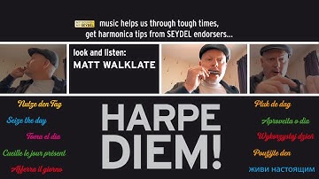 HARPE DIEM! Important basic techniques by Mat Walklate (UK) - SEYDEL