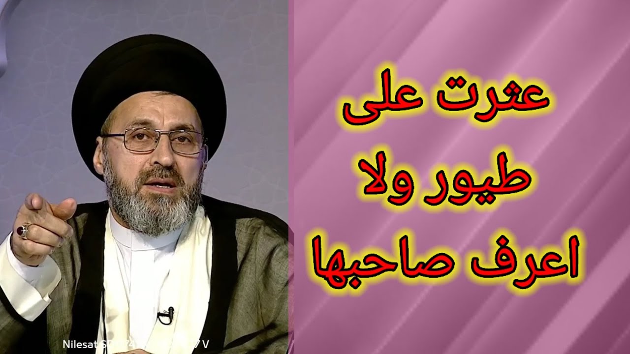 متصل عثرت علي طيور البط ولا اعرف صاحبها / سيد رشيد الحسيني