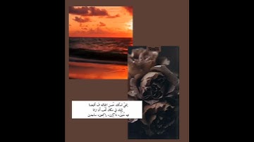 ارح سمعک ♥🌼حالات واتس اب ♥🌼مشاري العفاسي♥🌼قران كريم ♥🌼  مقاطع دينية