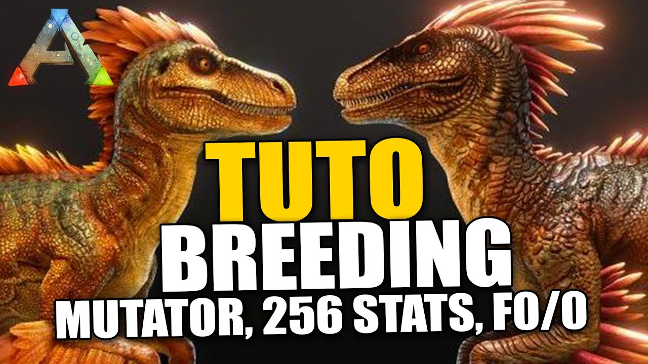 ARK Tuto - LE BREEDING - TOUT EXPLIQUÉ ! OPTI & EFFICACE Fr