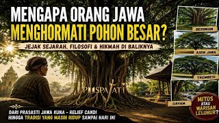 Why Do Javanese People Revere Large Trees? Myth or Ancestral Legacy?