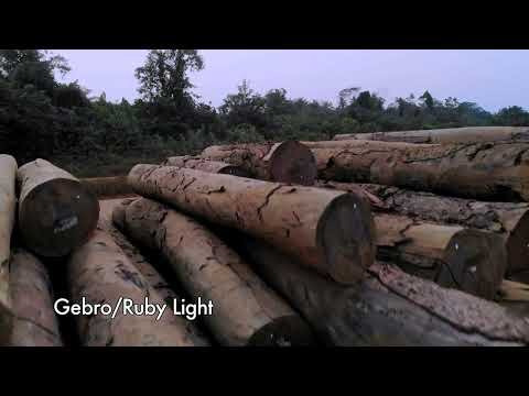 FDA and the Abandoned Logs Lies
