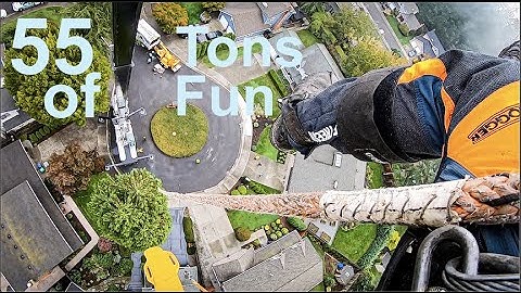 55 Tons of Tree Chopping Fun! First job with Eastside Tree Works New Crane