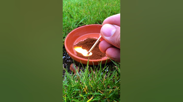 Best Outdoor Insect Repellent! - Coffee!