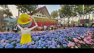 Chiangmai Flower Festival 2024