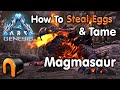 ARK GENESIS The BEST Way To Tame A Magmasaur & Steal Eggs