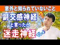 副交感神経と言ったら迷走神経!というくらい自律神経失調には重要な神経です|大和市の整体 中央林間カイロプラクティック