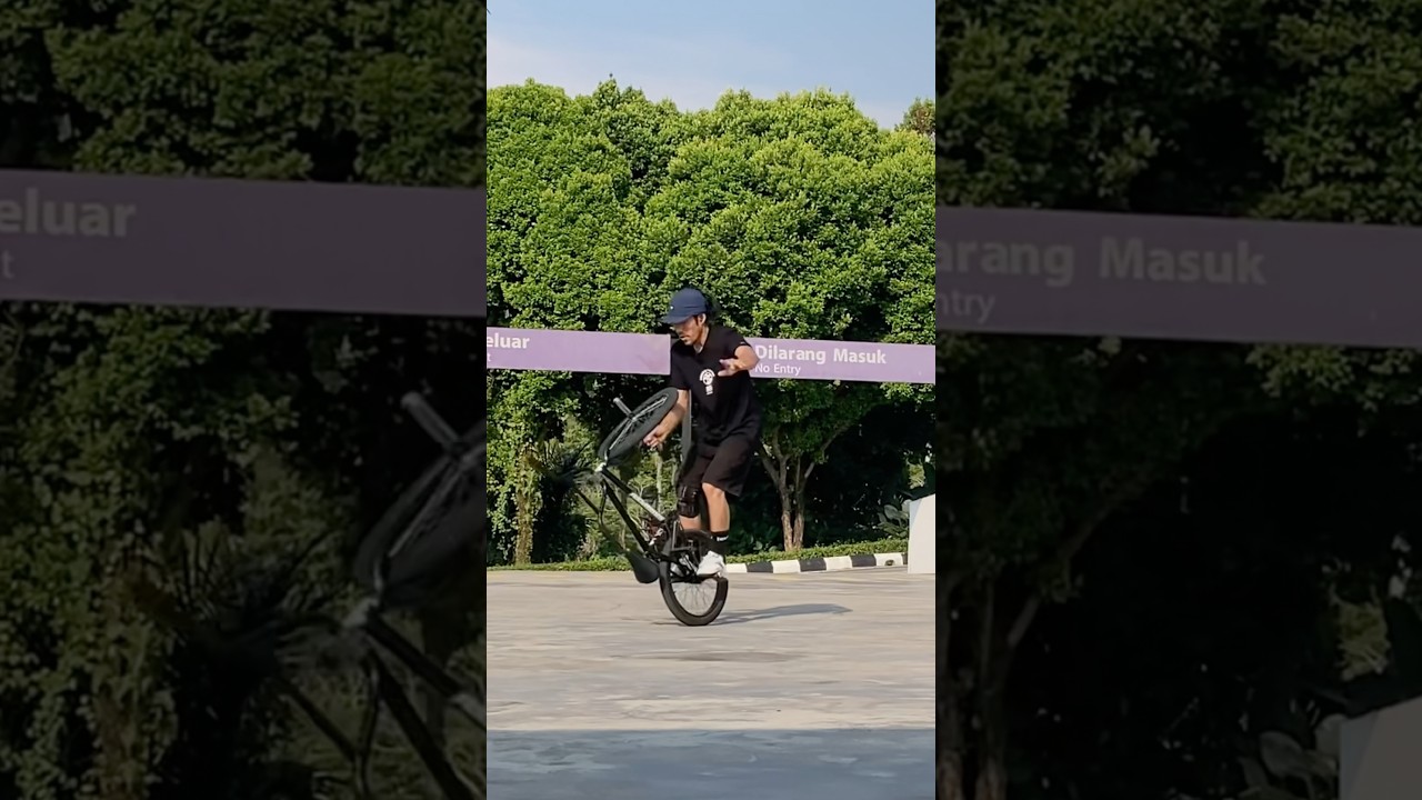What a wonderful world #bmx #bmxplus #bmxflatland