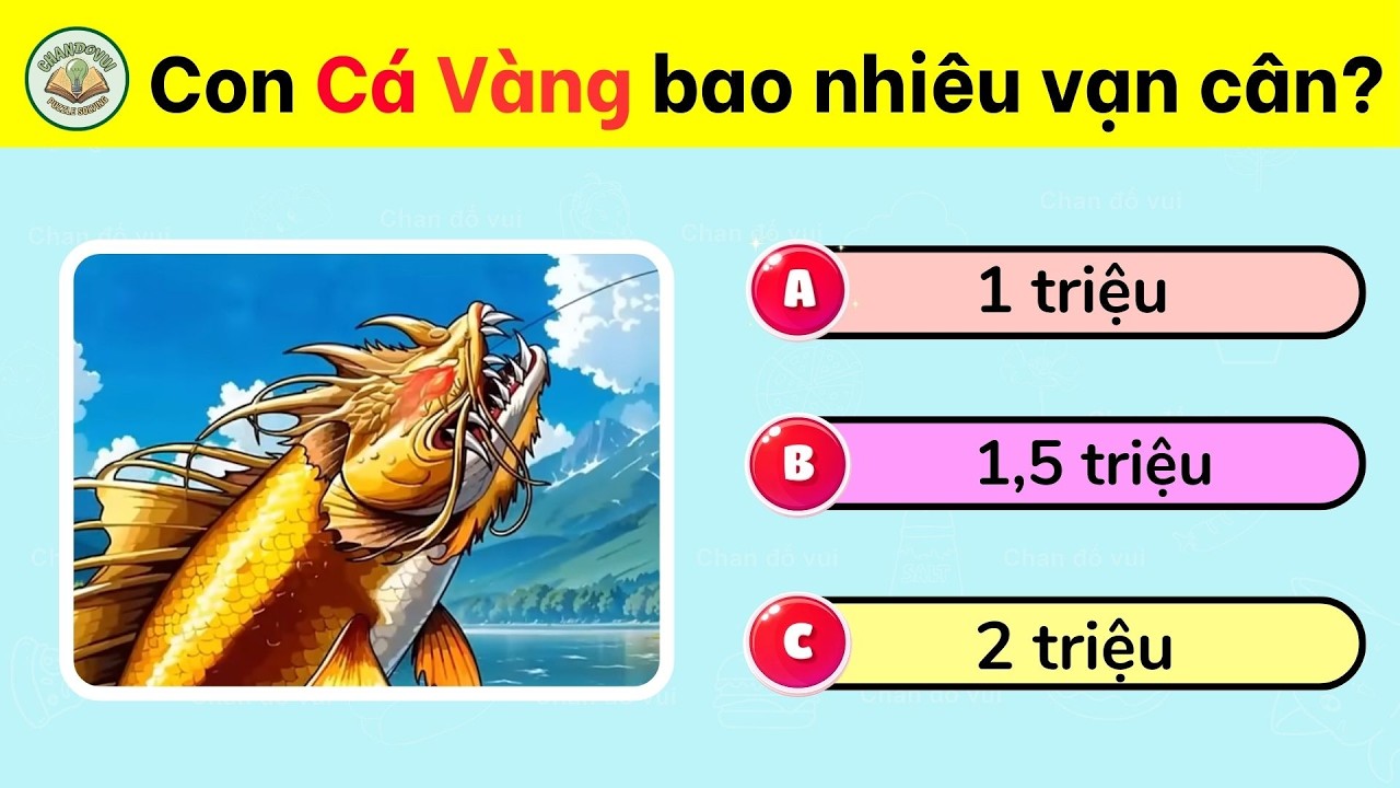 25+1 Câu Đố Câu Cá Vạn Cân Chỉ Cần Thủ Mới Đoán Được | Chan Đố Vui