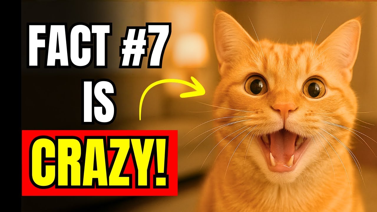 10 CRAZY Facts About Male Cats 90% of Owners Don't Know About | Cat Behavior Explained