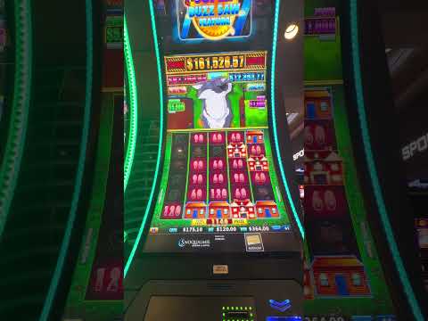 Peacock Princess #dragonlinkslotmachine#casino #jackpot #vegas #gambling #shortvideo #shorts #short