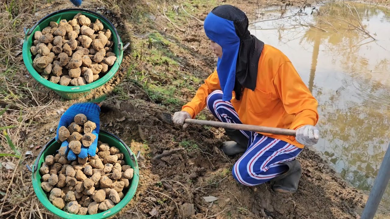 ป๊าดๆวันนี้หมานหอยไซ้ใหญ่หาไปสะออนไปหมานเต็มคุใหญ่เลยจ้า/8 กุมภาพันธ์ ค.ศ. 2026