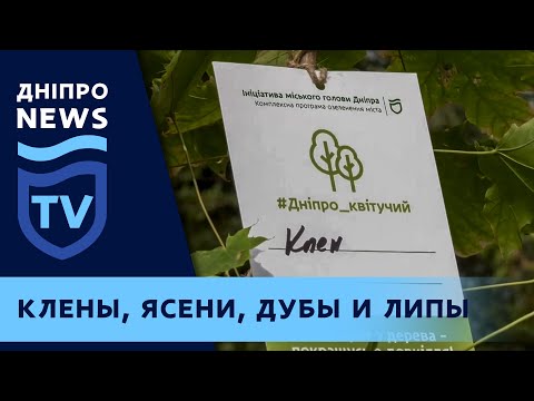 Дніпряни продовжують озеленяти місто