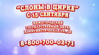 Большой Варшавский Цирк "Слоны в цирке" Большой Варшавский Цирк "Слоны в цирке"