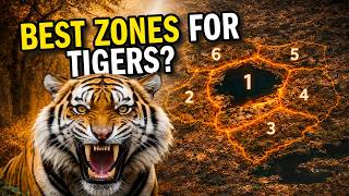 Ranthambore Safari Guide: Which Zone is BEST for TIGERS?