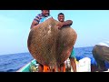 TWO HUGE MONSTER FISHING - STINGRAY & GOLIATH GROUPER CAUGHT IN SEA