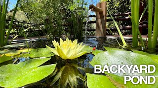 Stock Tank Pond and Fountain  DIY