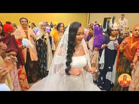 Dimbiyoh Camad Kee Qalii Cabiibah Alkumih Qafayda Yibuutik Kempeskih Hoteeli