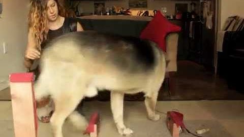 Maker Quest: Raspberry Pi Motion Triggered Music Player