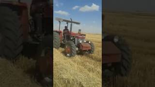 Massey ferguson Satılık 1974 model