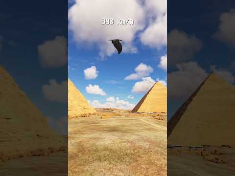 Moving At The Speed Of Light On Earth