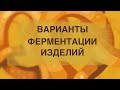 Как открыть пекарню. Варианты ферментации хлеба.