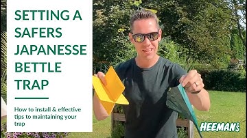 How to Set Up a Safers Japanese Beetle Trap