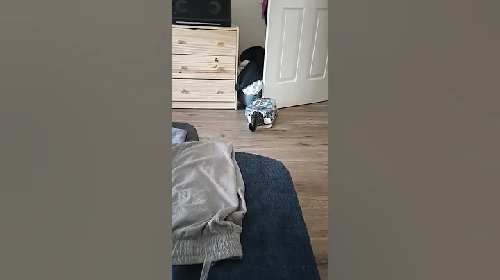 My Silly Boy