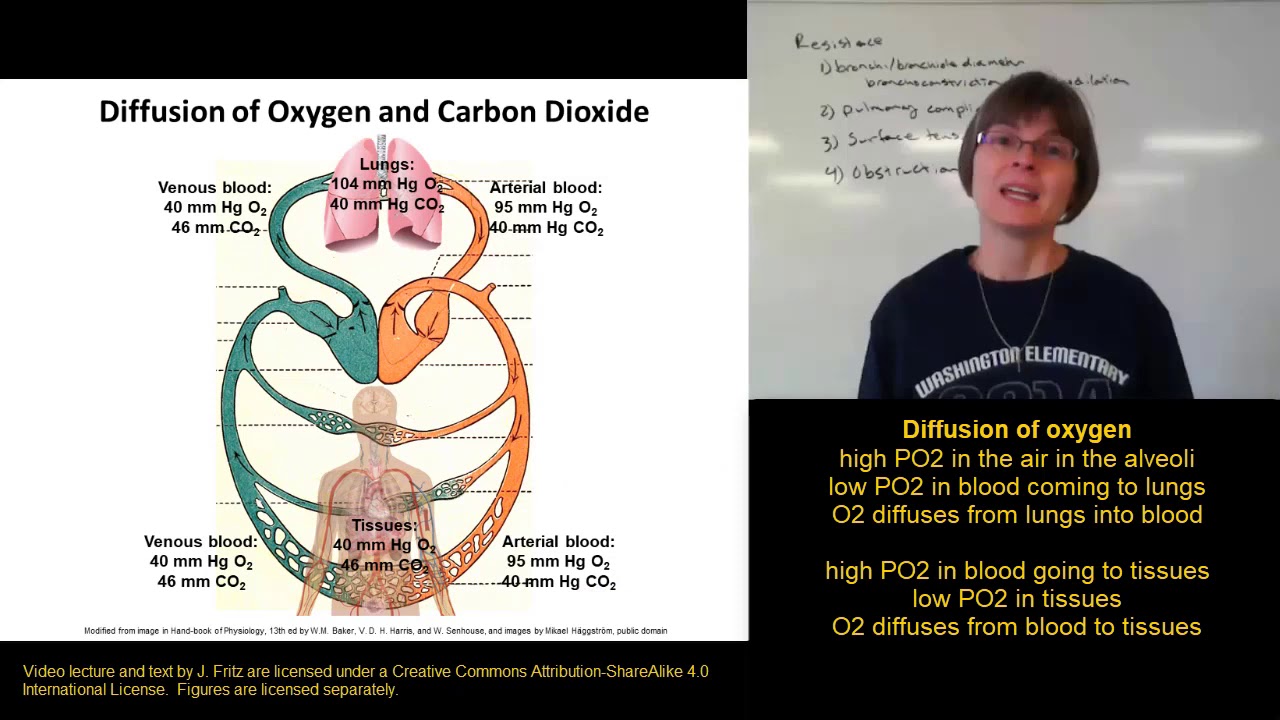 GasExchange - YouTube