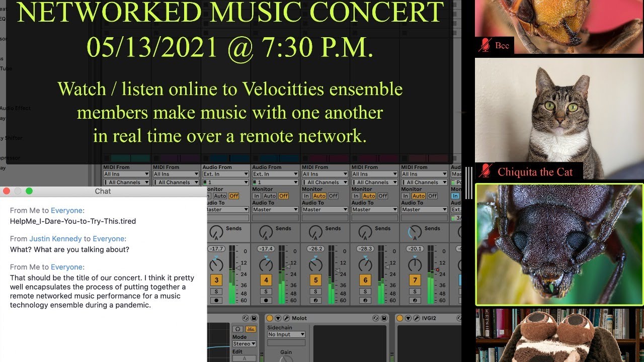 Velocitties – Networked Music Concert (Live Performance)