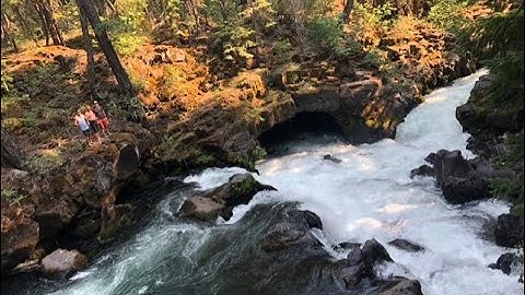 1.3: direction fields