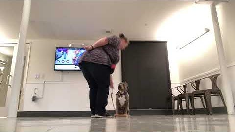 Deliliah Resource Guarding Part 2