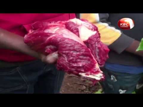 Video: Poți mânca carne de elefant?