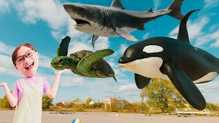JangMin Khám Phá Các Con Vật, Sinh Vật Biển | Cá Mập, Cá Heo và Rùa Biển Biết Bay