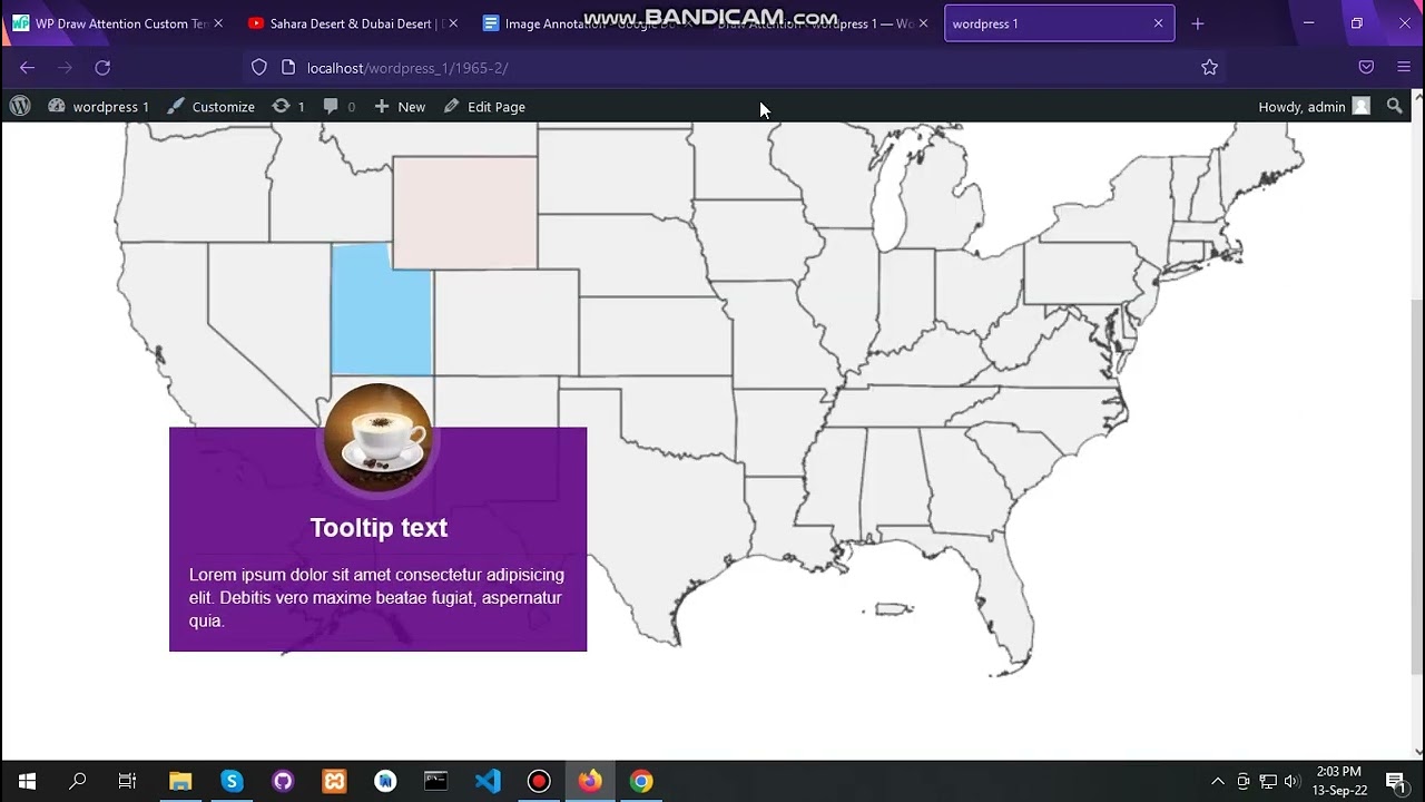 How to use WP Draw Attention plugin YouTube
