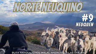#9. NORTE NEUQUINO  Neuquen, Argentina