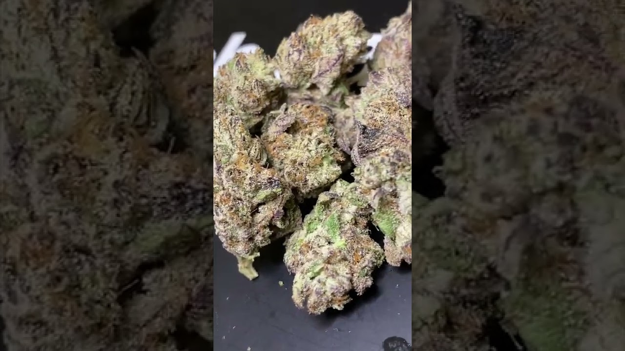 Ice cream cake strain review FRESHBAKED fresh baked long beach farmers ig: cali_bud_reviews
