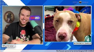 The Pawcast 5/28: Charlee