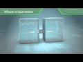 3d scientific animation  diffusion and osmosis