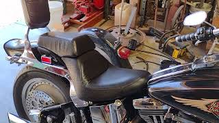 1998 Harley FXSTC Softail Custom Craigslist find