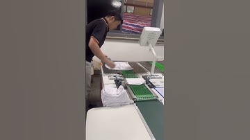 Shorts Underwear Underwaist Folding Machine  #machine#packaging #automatic