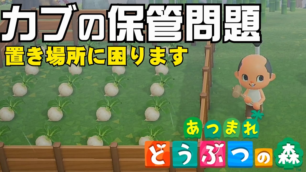 33 Turnip storage problem solved?! [Animal Crossing: New Horizons
