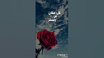 أمتنا تشبه بنيانا 