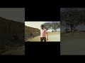 South Action Videos