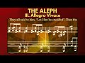 The Aleph - Piano Sonata no. 2 - III. Allegro Vivace (Animated Sheet Music | 2024)