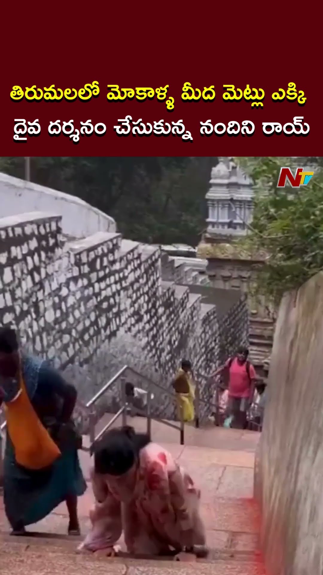 తిరుమలలో మోకాళ్ళపై మెట్లు ఎక్కి దర్శనం చేసుకున్న నందిని రాయ్ l Tirumala l Nandini Rai l NTV